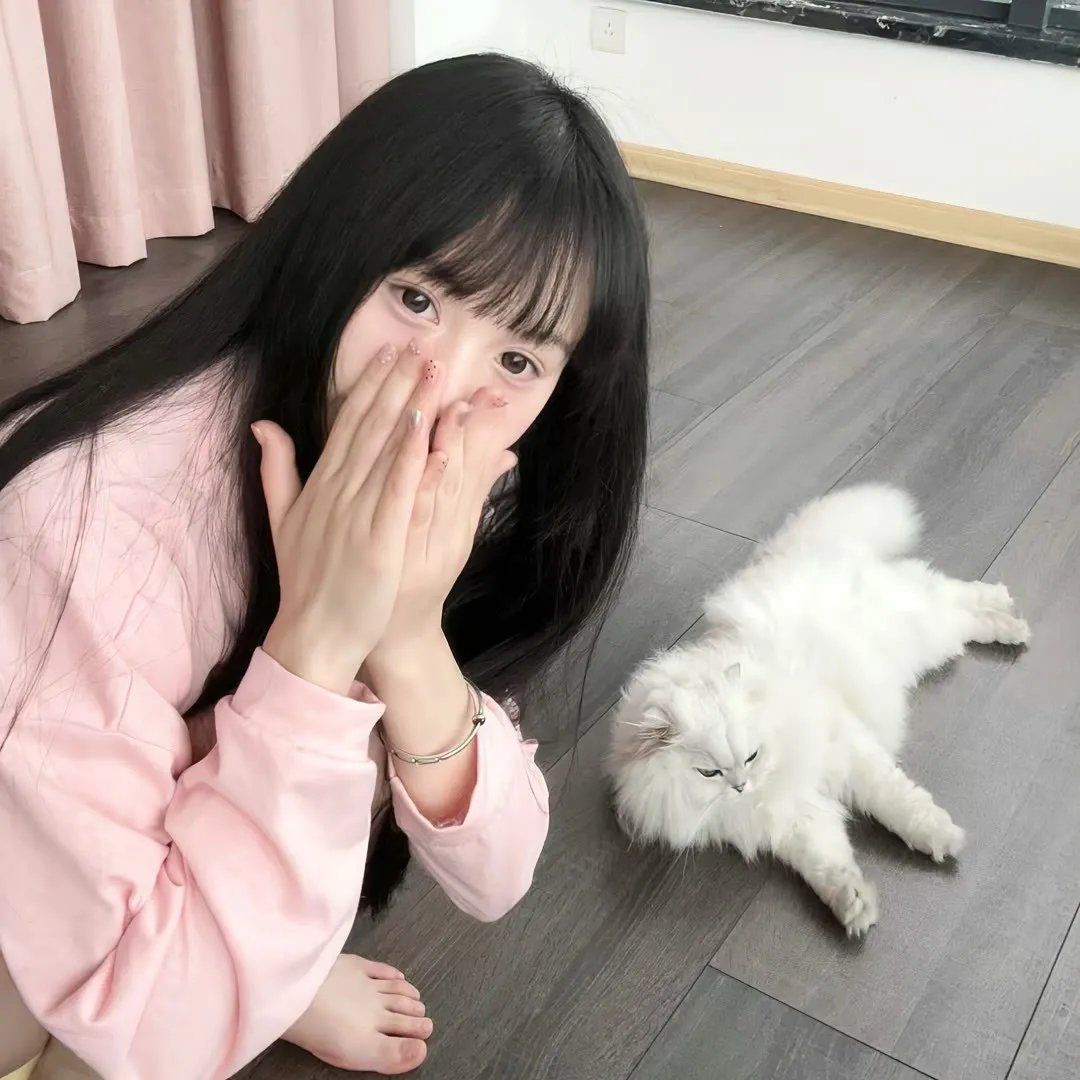 366日